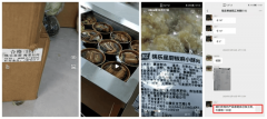 出具了虚假健康
