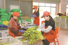 <b>又建成“厦门市畅通环节食物平安监管消息系统</b>